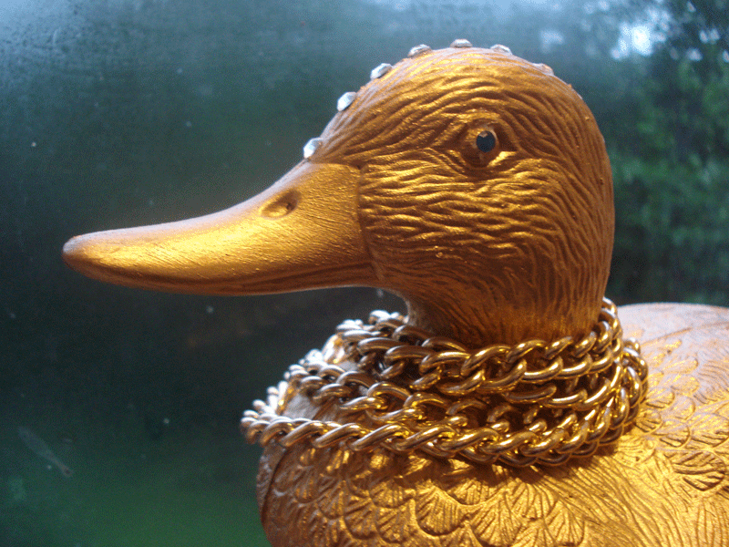 bling duck
